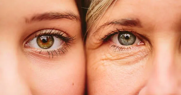 Sénescence : Comprendre le Vieillissement Cellulaire et Ses Implications