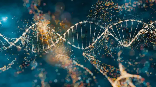Recombinaison Homologue : Le Mécanisme Clé de la Réparation de l'ADN et de la Diversité Génétique