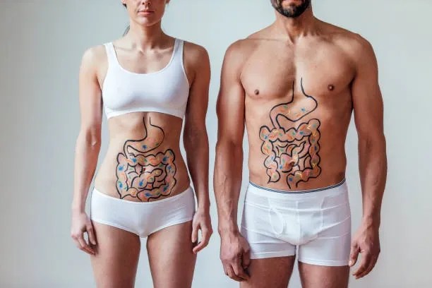 L'Évolution du Microbiote : Comprendre Son Rôle Clé dans Notre Santé au Fil du Temps